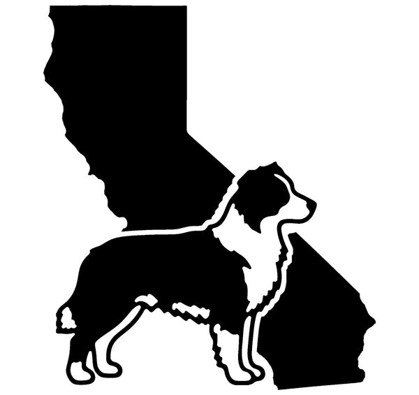 Aussie Shepherd California state vinyl decal