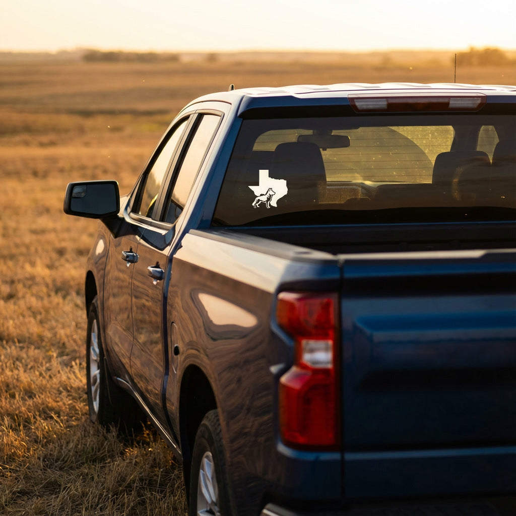 Truck parked in a field with a Texas-shaped sticker on the window.